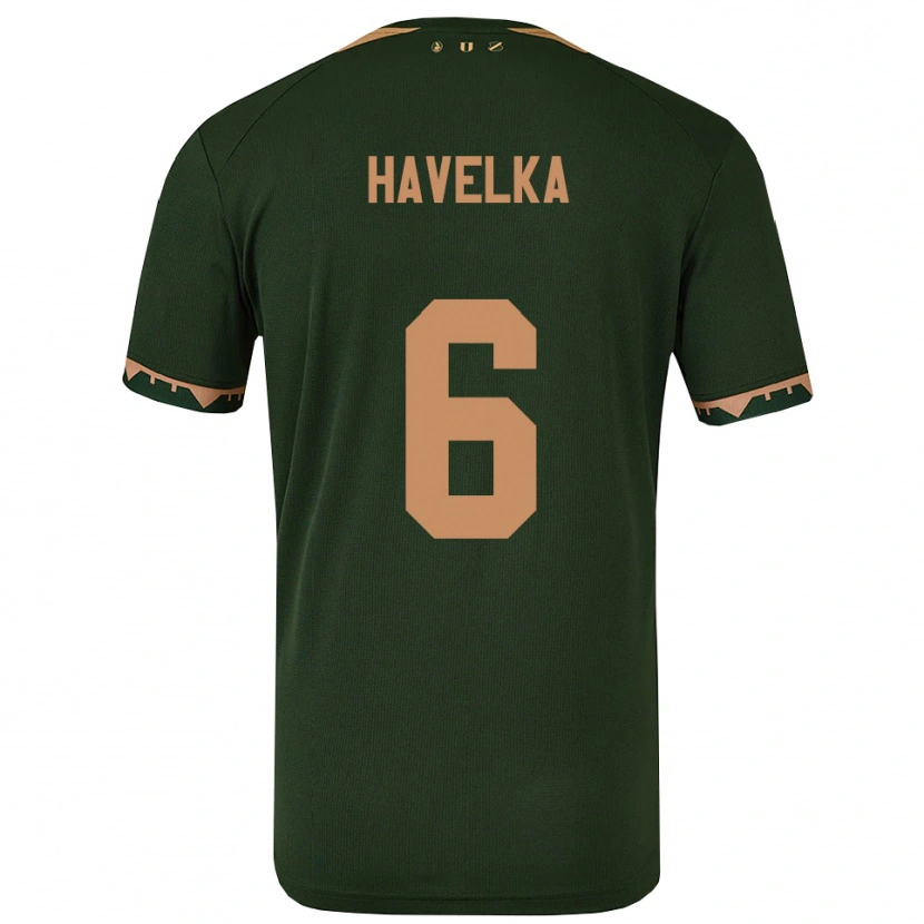 Danxen Enfant Maillot Matyas Havelka #6 Vert Or Tenues Extérieur 2025/26 T-Shirt