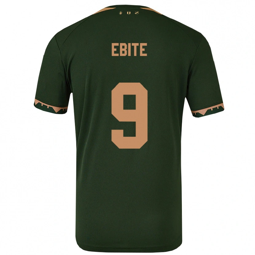 Danxen Enfant Maillot Shedrach Ebite #9 Vert Or Tenues Extérieur 2025/26 T-Shirt