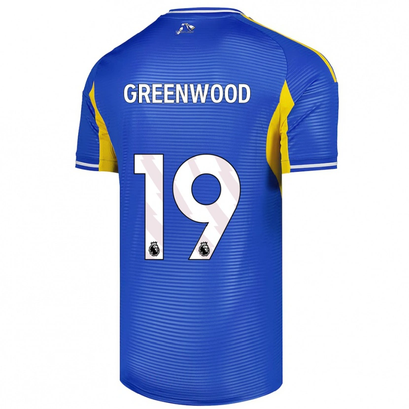 Danxen Enfant Maillot Sam Greenwood #19 Bleu Jaune Tenues Extérieur 2025/26 T-Shirt