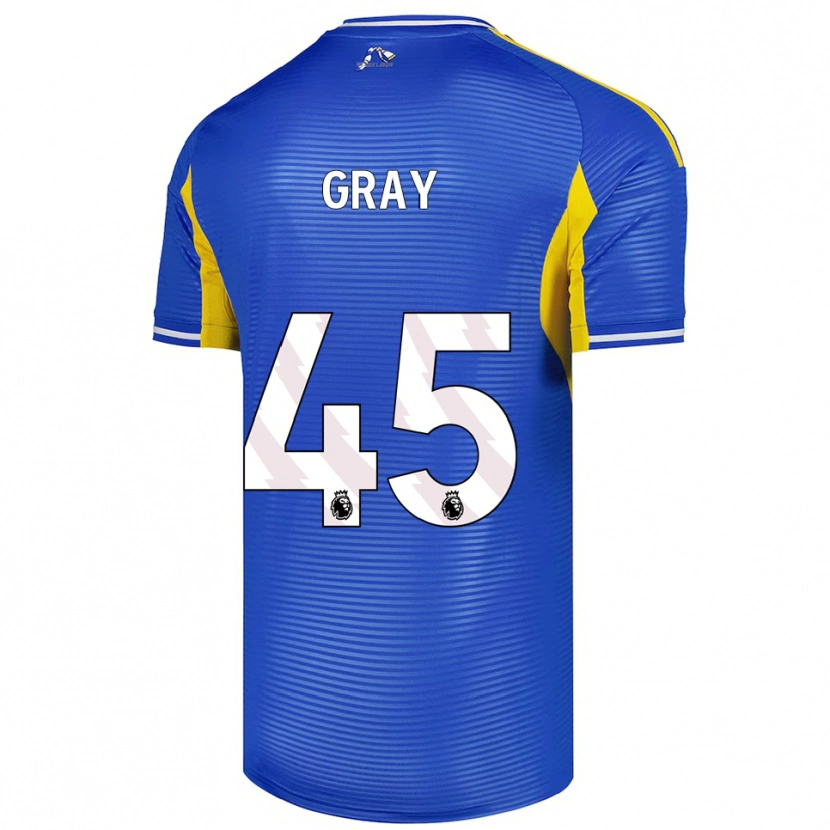 Danxen Homme Maillot Harry Gray #45 Bleu Jaune Tenues Extérieur 2025/26 T-Shirt