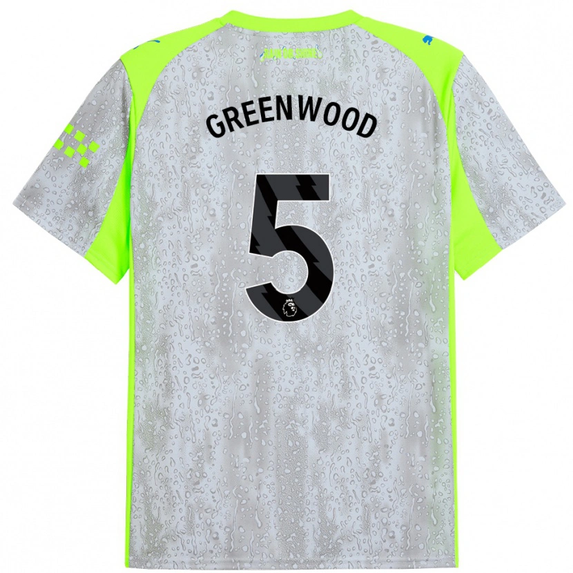 Danxen Femme Maillot Alex Greenwood #5 Gris Jaune Troisieme 2025/26 T-Shirt