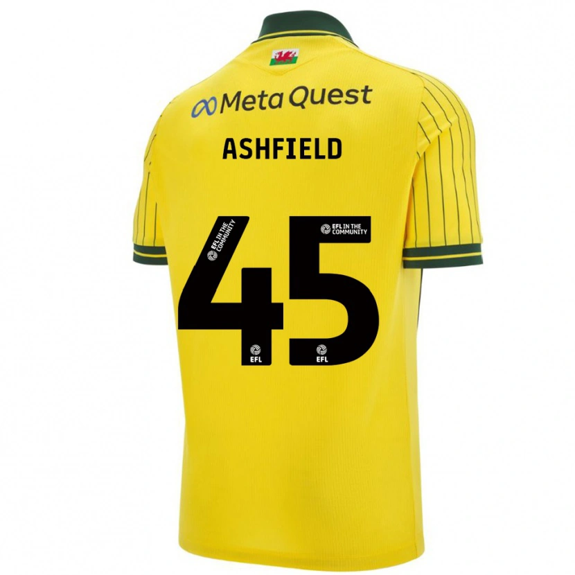 Danxen Enfant Maillot Harry Ashfield #45 Jaune Vert Tenues Extérieur 2025/26 T-Shirt