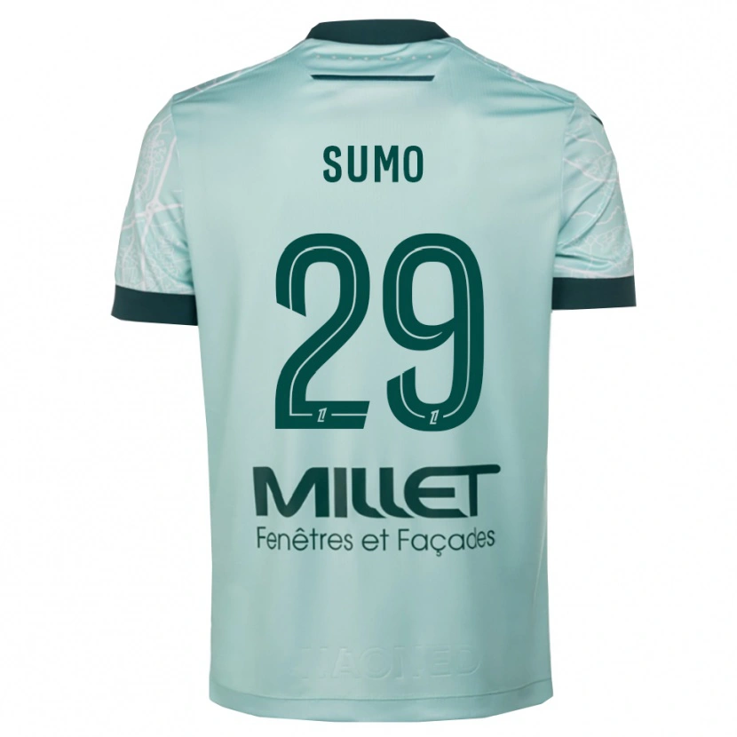 Danxen Enfant Maillot Eva Sumo #29 Vert Blanc Tenues Extérieur 2025/26 T-Shirt