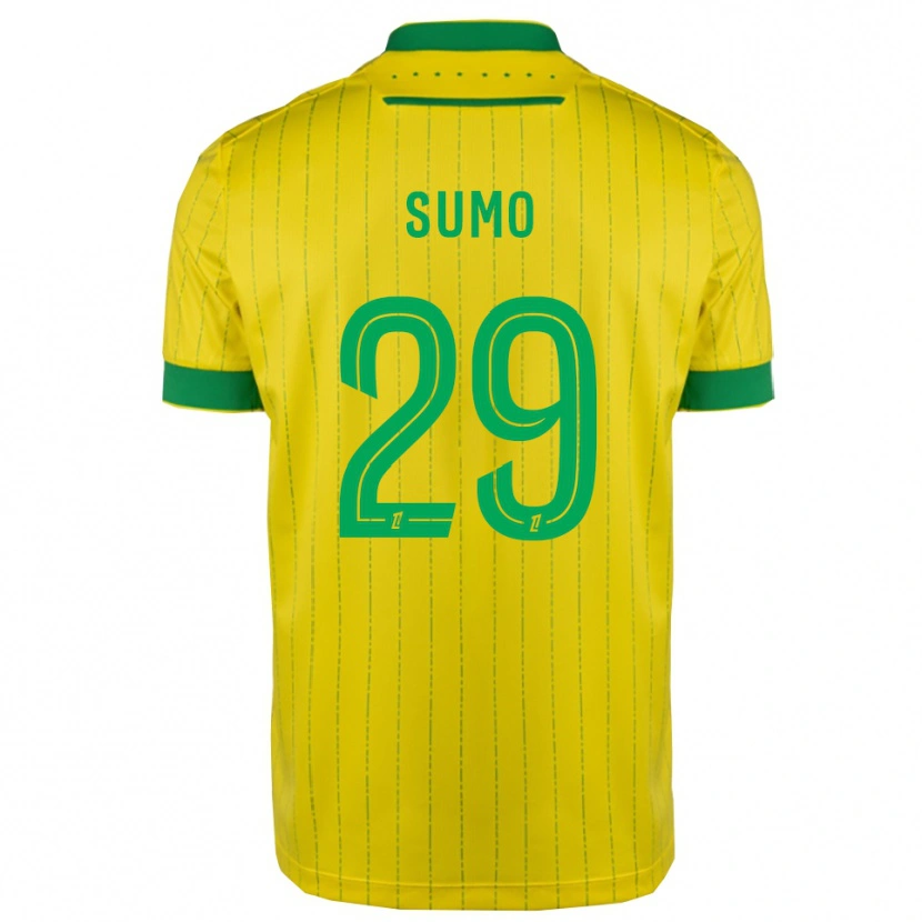 Danxen Homme Maillot Eva Sumo #29 Jaune Vert Tenues Domicile 2025/26 T-Shirt
