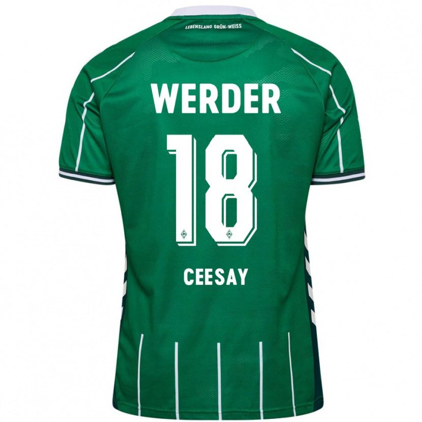 Danxen Homme Maillot Ablie Ceesay #18 Vert Blanc Tenues Domicile 2025/26 T-Shirt