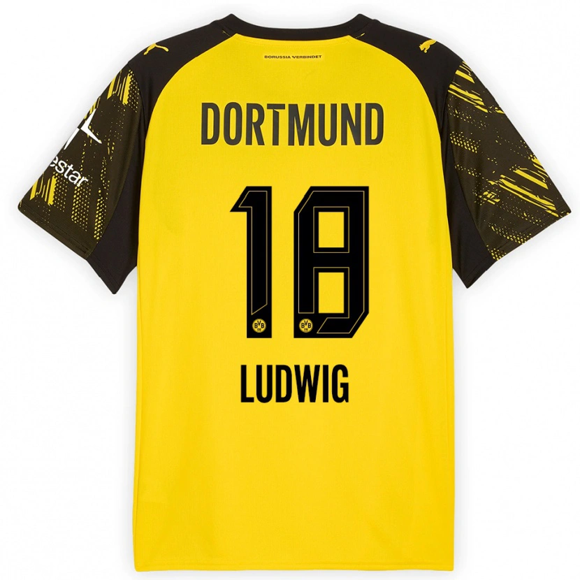 Danxen Homme Maillot Michel Ludwig #18 Jaune Noir Tenues Domicile 2025/26 T-Shirt