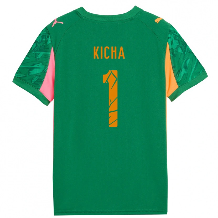 Danxen Enfant Tymofiy Kicha #1 Maillot de Gardien Vert Orange Rose 2025/26 T-shirt