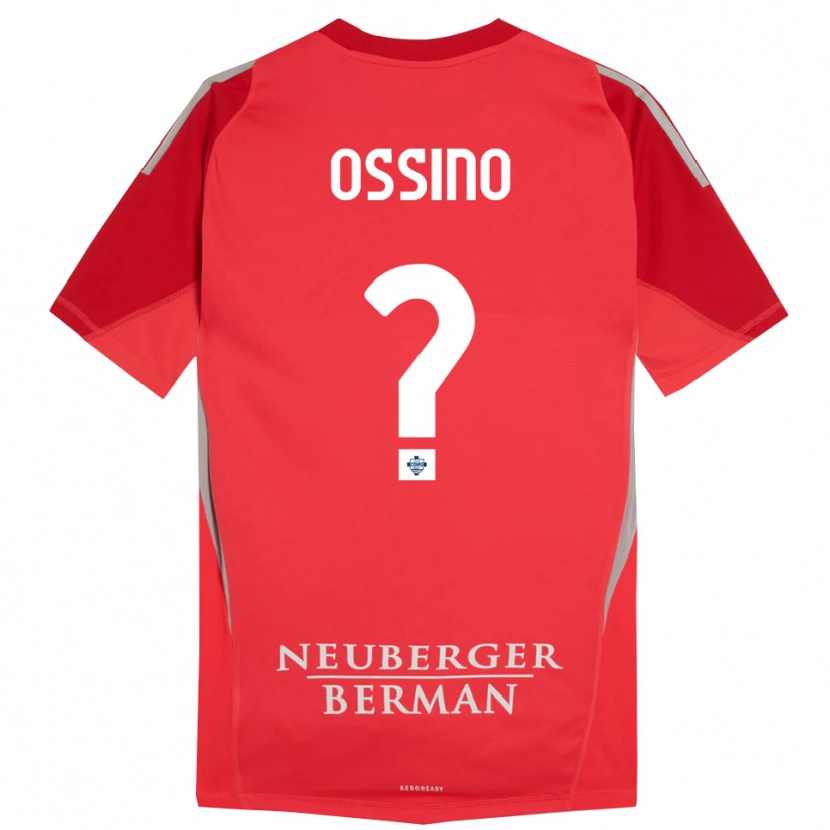 Danxen Enfant Daniel Ossino #0 Maillot de Gardien Gris Rouge 2025/26 T-shirt