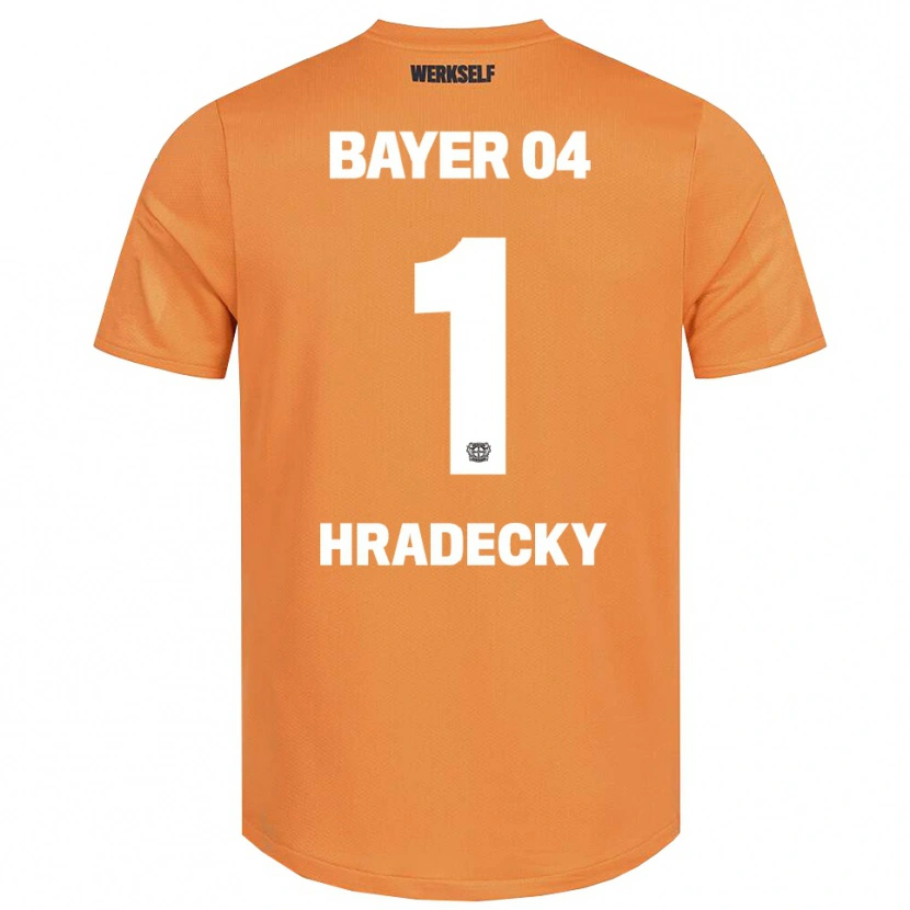 Danxen Homme Lukas Hradecky #1 Maillot de Gardien Brun Sable 2025/26 T-shirt