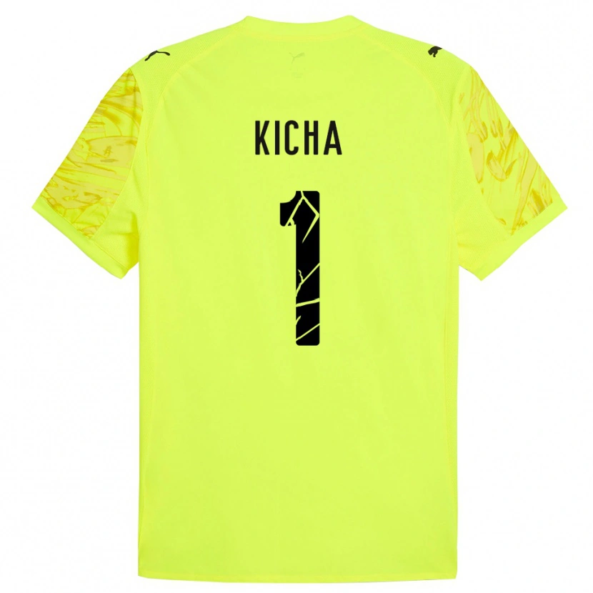 Danxen Homme Tymofiy Kicha #1 Maillot de Gardien Vert Jaune 2025/26 T-shirt