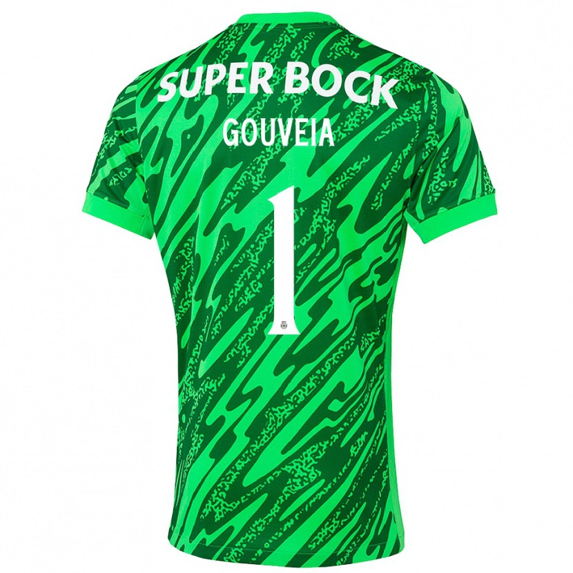 Danxen Femme Miguel Gouveia #1 Maillot de Gardien Vert Blanc 2025/26 T-shirt