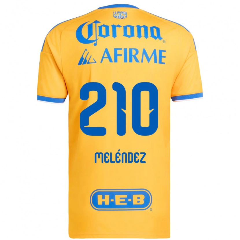Danxen Enfant Maillot Marcelo Meléndez #210 Jaune Bleu Tenues Domicile 2026/27 T-Shirt