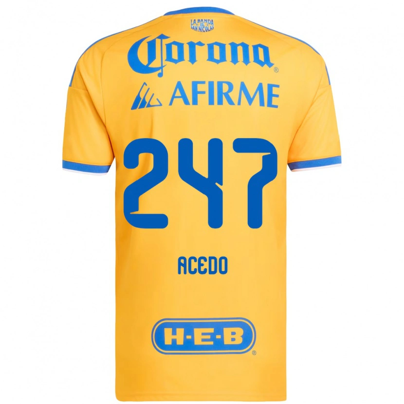 Danxen Enfant Maillot Kevin Acedo #247 Jaune Bleu Tenues Domicile 2026/27 T-Shirt