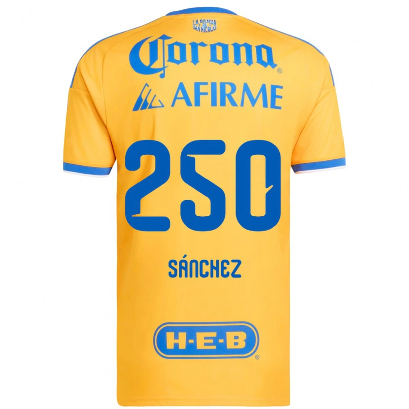 Danxen Enfant Maillot Fernando Sánchez #250 Jaune Bleu Tenues Domicile 2026/27 T-Shirt