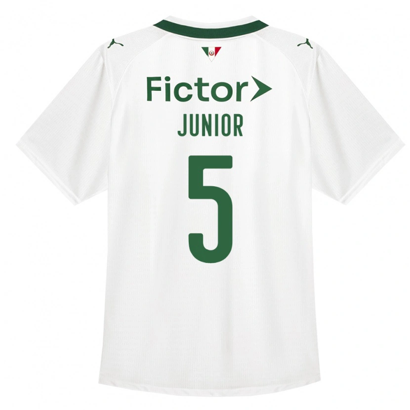 Danxen Enfant Maillot Amilton Junior #5 Vert Blanc Tenues Extérieur 2026/27 T-Shirt
