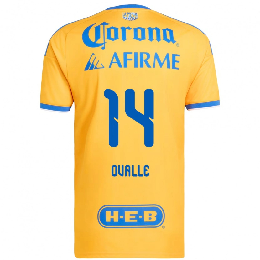 Danxen Homme Maillot Lizbeth Ovalle #14 Jaune Bleu Tenues Domicile 2026/27 T-Shirt