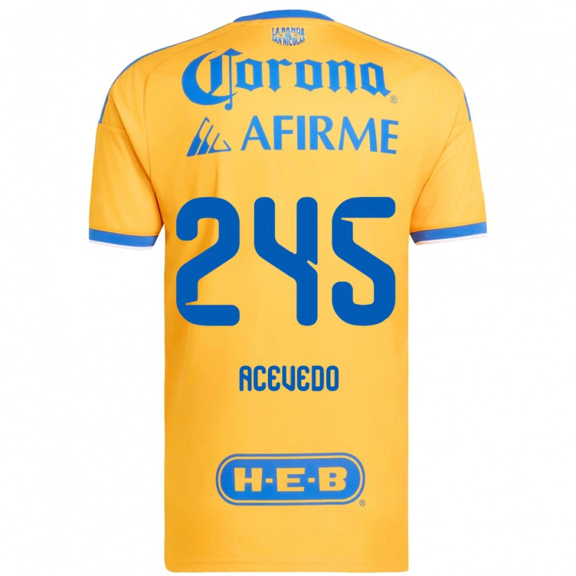 Danxen Homme Maillot Kevin Acevedo #245 Jaune Bleu Tenues Domicile 2026/27 T-Shirt