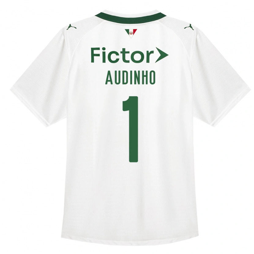 Danxen Homme Maillot Audo Ventilari Albuquerque Da Costa #1 Vert Blanc Tenues Extérieur 2026/27 T-Shirt