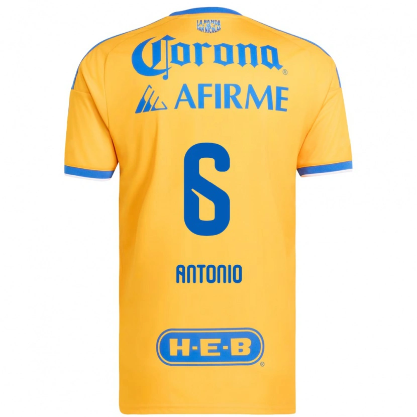 Danxen Femme Maillot Nancy Antonio #6 Jaune Bleu Tenues Domicile 2026/27 T-Shirt