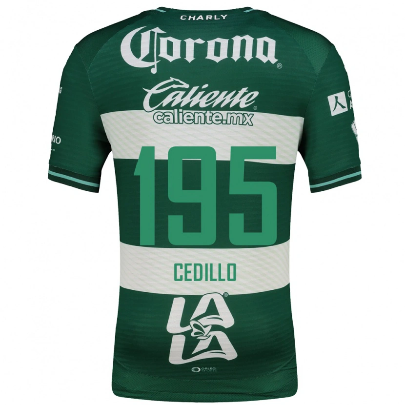 Danxen Femme Maillot Nelson Cedillo #195 Vert Blanc Tenues Domicile 2026/27 T-Shirt