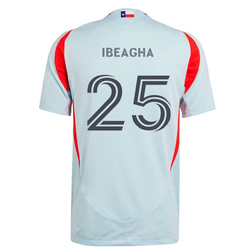 Danxen Homme Maillot Sebastien Ibeagha #25 Gris Foncé Rouge Blanc Tenues Extérieur 2026/27 T-Shirt