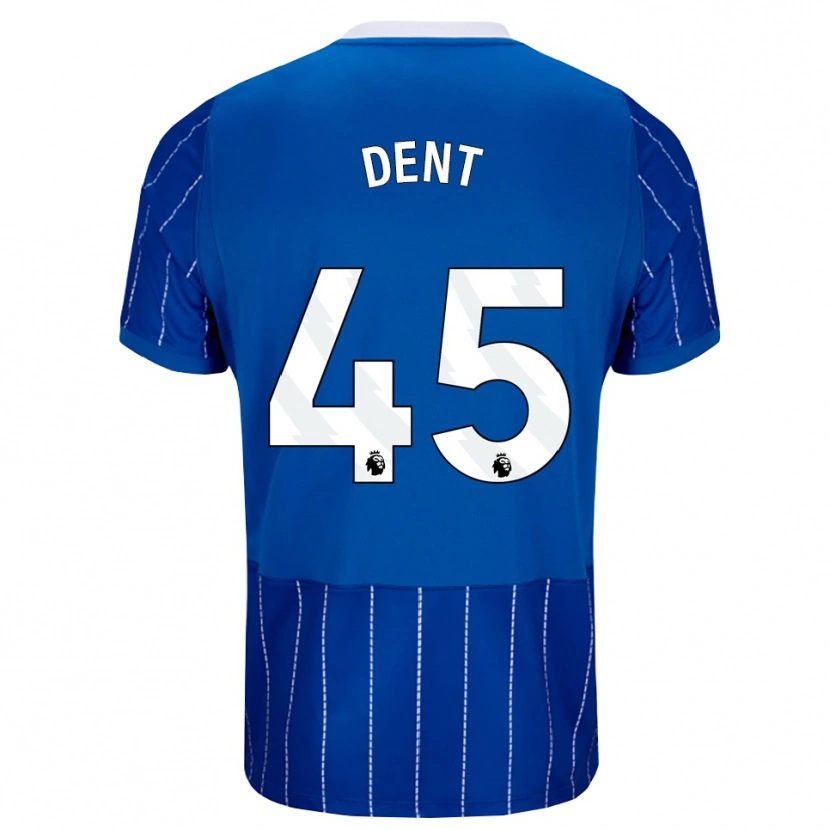 Danxen Homme Maillot Lily Dent #45 Bleu Moyen Blanc Tenues Domicile 2026/27 T-Shirt