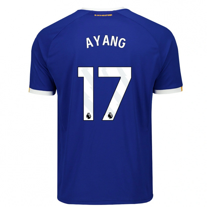 Danxen Homme Maillot Godswill Ayang #17 Bleu Blanc Jaune Tenues Domicile 2026/27 T-Shirt