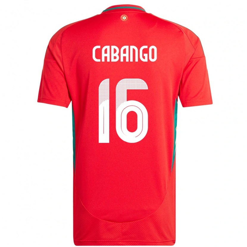 Danxen Enfant Maillot Pays De Galles Ben Cabango #16 Rouge Tenues Domicile 24-26 T-Shirt