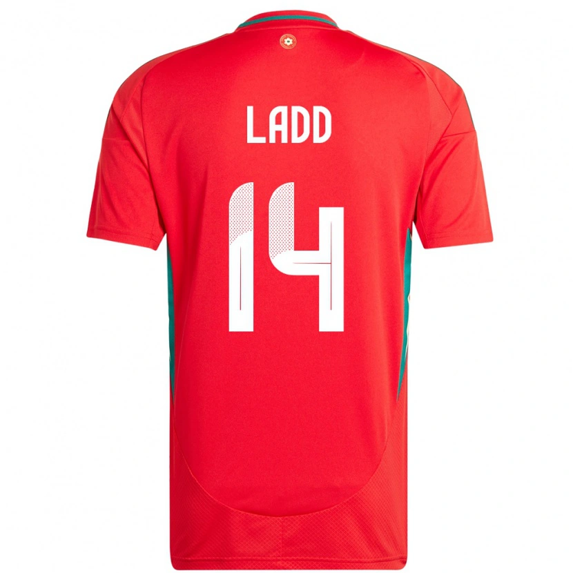 Danxen Enfant Maillot Pays De Galles Hayley Ladd #14 Rouge Tenues Domicile 24-26 T-Shirt