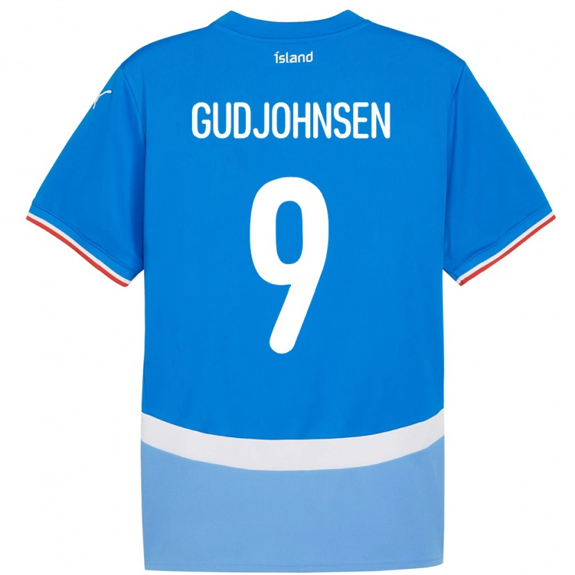Danxen Enfant Maillot Islande Daníel Gudjohnsen #9 Bleu Tenues Domicile 24-26 T-Shirt