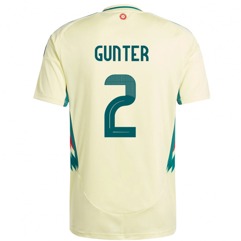Danxen Enfant Maillot Pays De Galles Chris Gunter #2 Beige Jaune Tenues Extérieur 24-26 T-Shirt