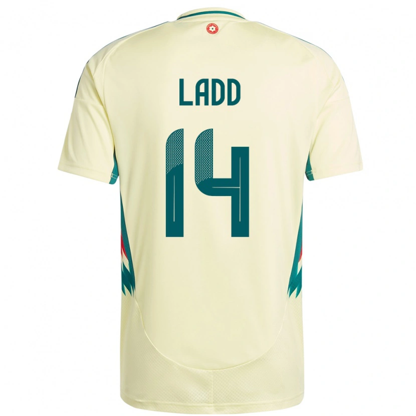 Danxen Enfant Maillot Pays De Galles Hayley Ladd #14 Beige Jaune Tenues Extérieur 24-26 T-Shirt