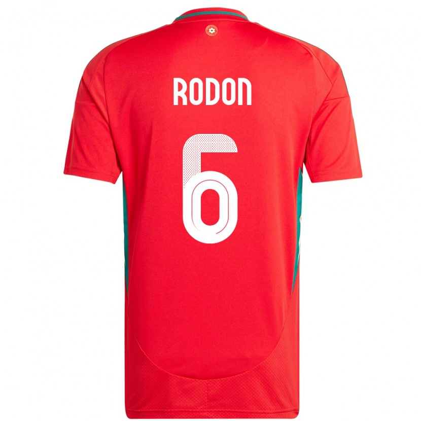 Danxen Homme Maillot Pays De Galles Joe Rodon #6 Rouge Tenues Domicile 24-26 T-Shirt