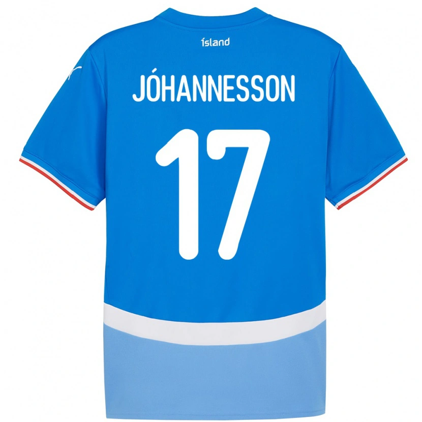 Danxen Homme Maillot Islande Daniel Jóhannesson #17 Bleu Tenues Domicile 24-26 T-Shirt