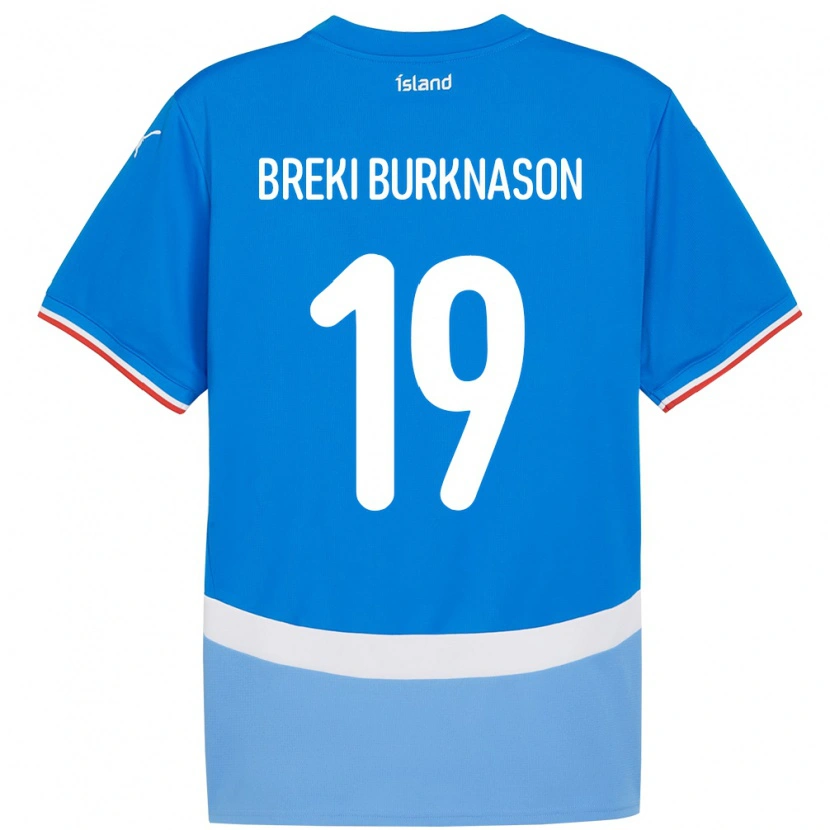 Danxen Homme Maillot Islande Birnir Breki Burknason #19 Bleu Tenues Domicile 24-26 T-Shirt