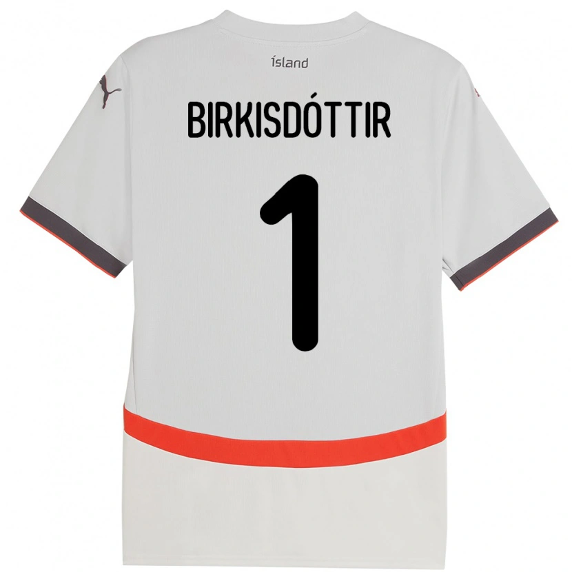 Danxen Homme Maillot Islande Fanney Inga Birkisdóttir #1 Blanc Tenues Extérieur 24-26 T-Shirt