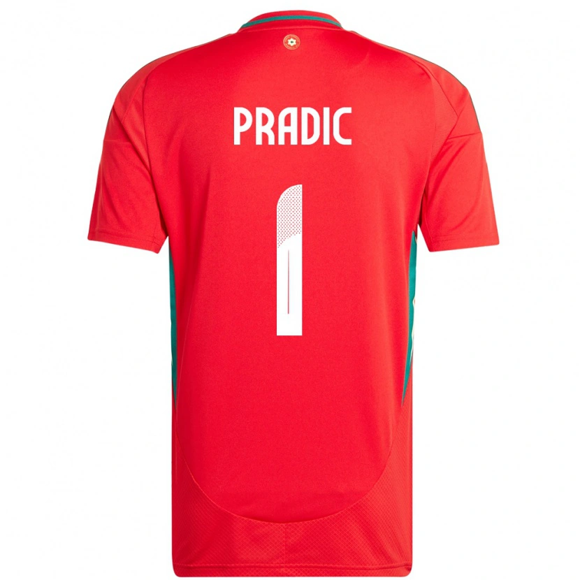 Danxen Femme Maillot Pays De Galles James Pradic #1 Rouge Tenues Domicile 24-26 T-Shirt