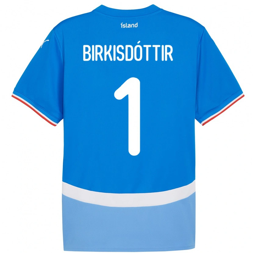 Danxen Femme Maillot Islande Fanney Inga Birkisdóttir #1 Bleu Tenues Domicile 24-26 T-Shirt