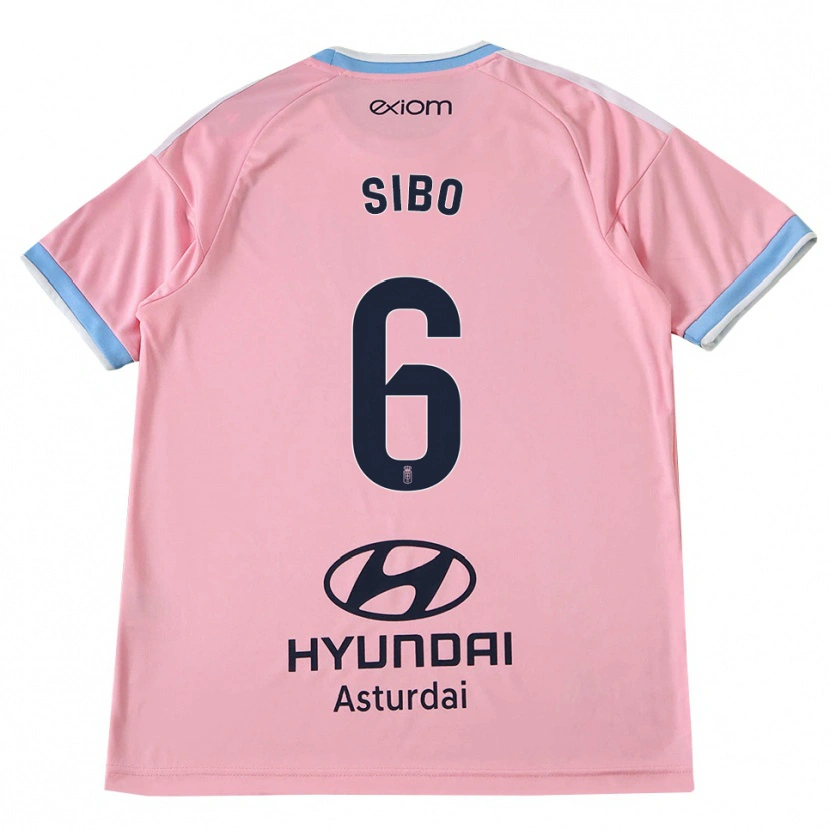 Danxen Homme Maillot Kwasi Sibo #6 Bleu Barbeau Rose Tenues Extérieur 2026/27 T-Shirt