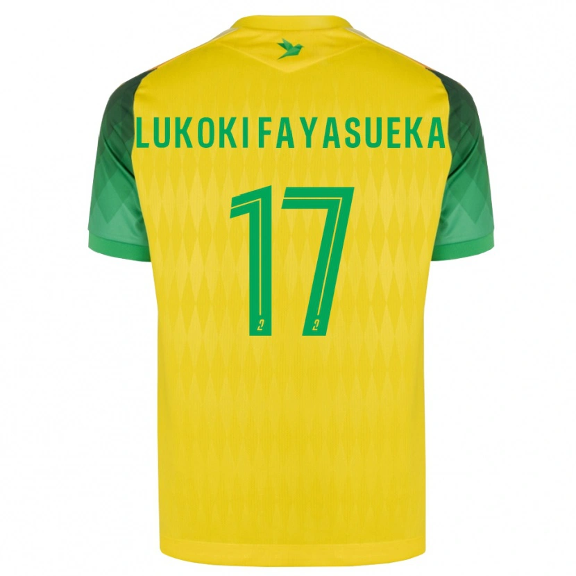 Danxen Enfant Maillot Kévin Lukoki Fayasueka #17 Jaune Vert Rouge Tenues Domicile 2026/27 T-Shirt