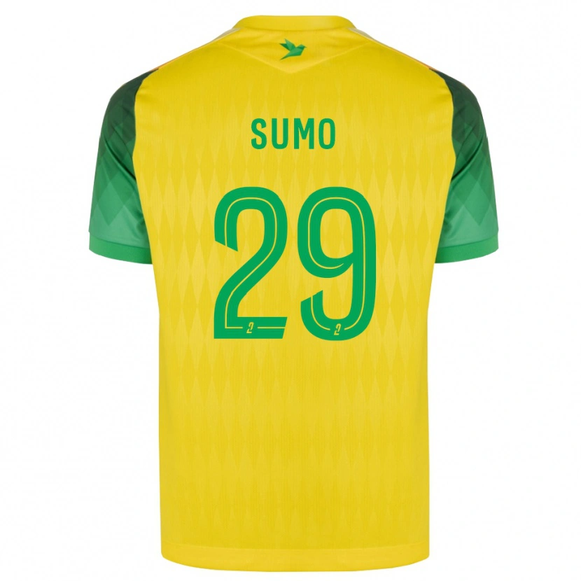 Danxen Enfant Maillot Eva Sumo #29 Jaune Vert Rouge Tenues Domicile 2026/27 T-Shirt