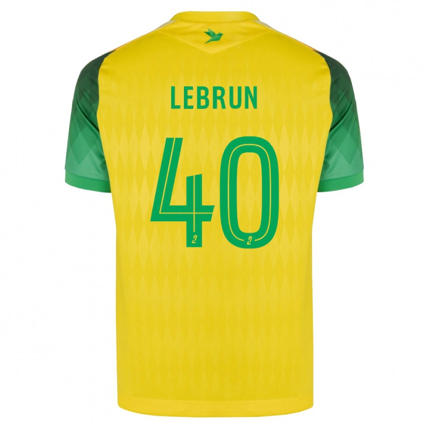 Danxen Enfant Maillot Lisa Lebrun #40 Jaune Vert Rouge Tenues Domicile 2026/27 T-Shirt