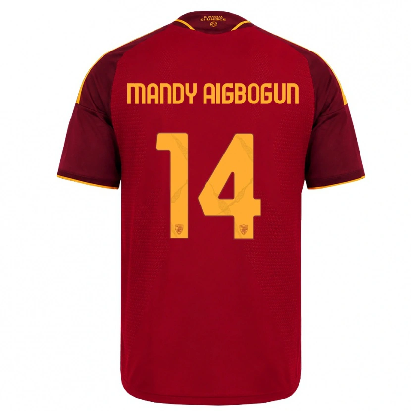 Danxen Enfant Maillot Eseosa Mandy Aigbogun #14 Rouge Doré Jaune Tenues Domicile 2026/27 T-Shirt