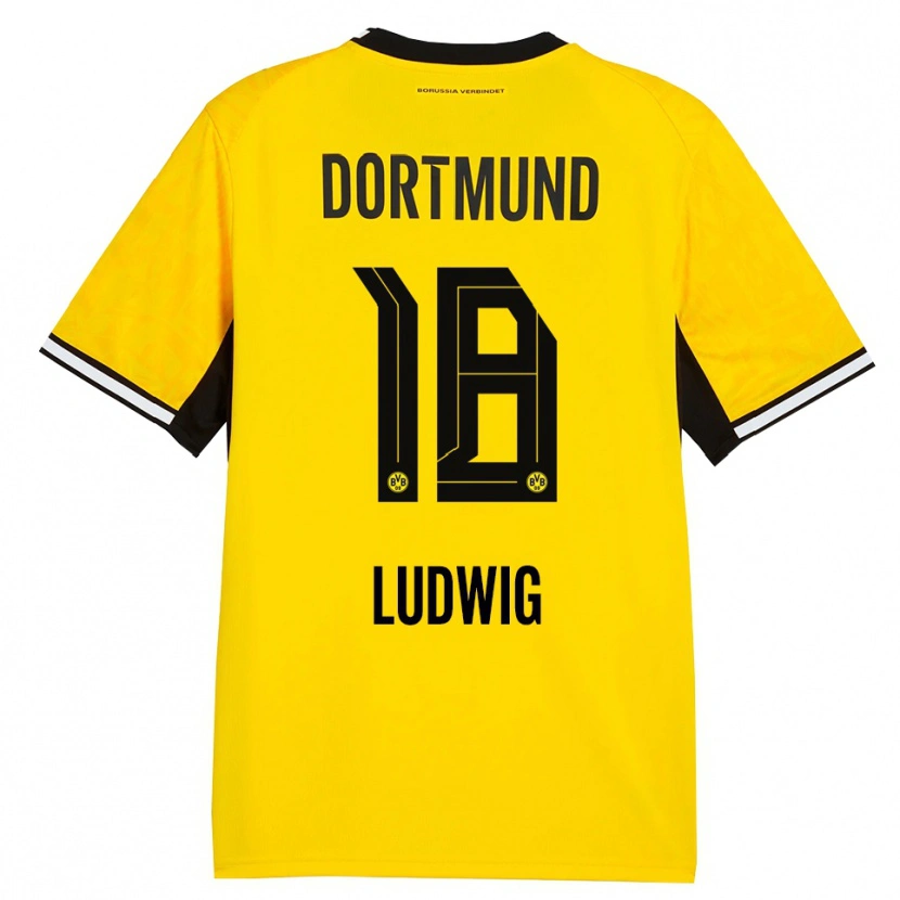 Danxen Homme Maillot Michel Ludwig #18 Jaune Noir Blanc Tenues Domicile 2026/27 T-Shirt
