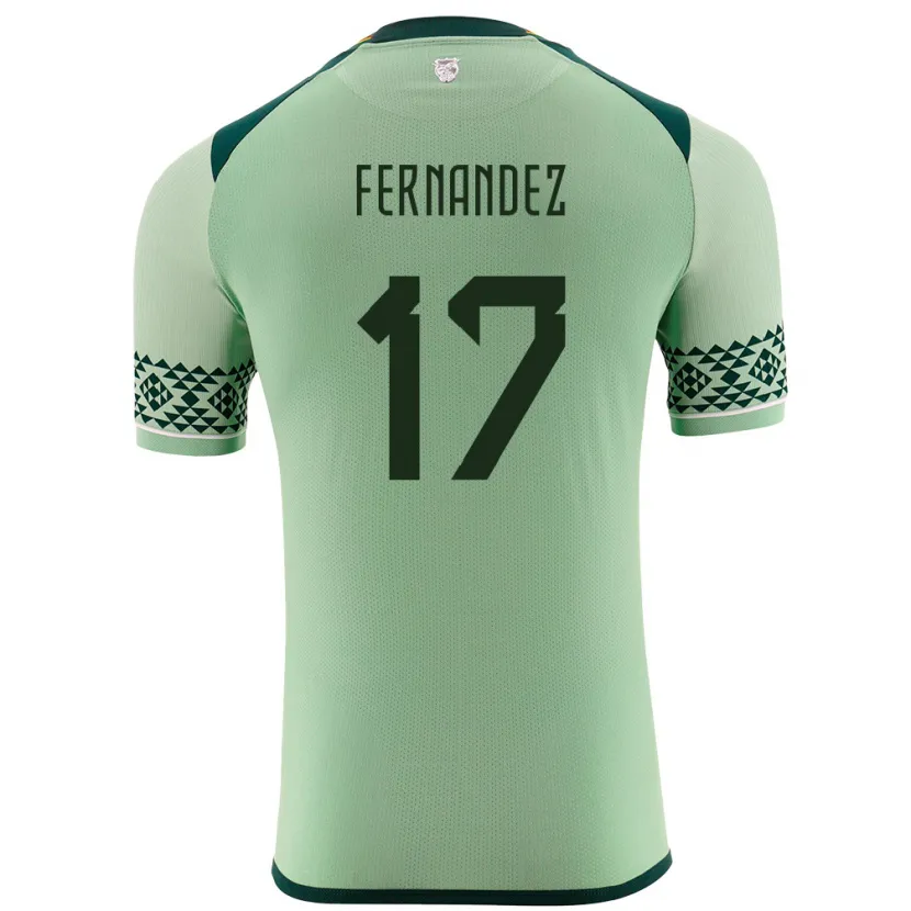 Danxen Homme Maillot Bolivie Roberto Fernández #17 Vert Clair Tenues Domicile 24-26 T-Shirt
