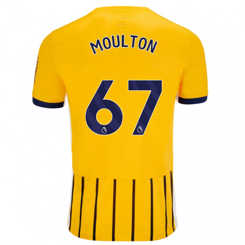Danxen Homme Maillot Remiero Moulton #67 Doré Bleu À Fines Rayures Tenues Extérieur 2024/25 T-Shirt