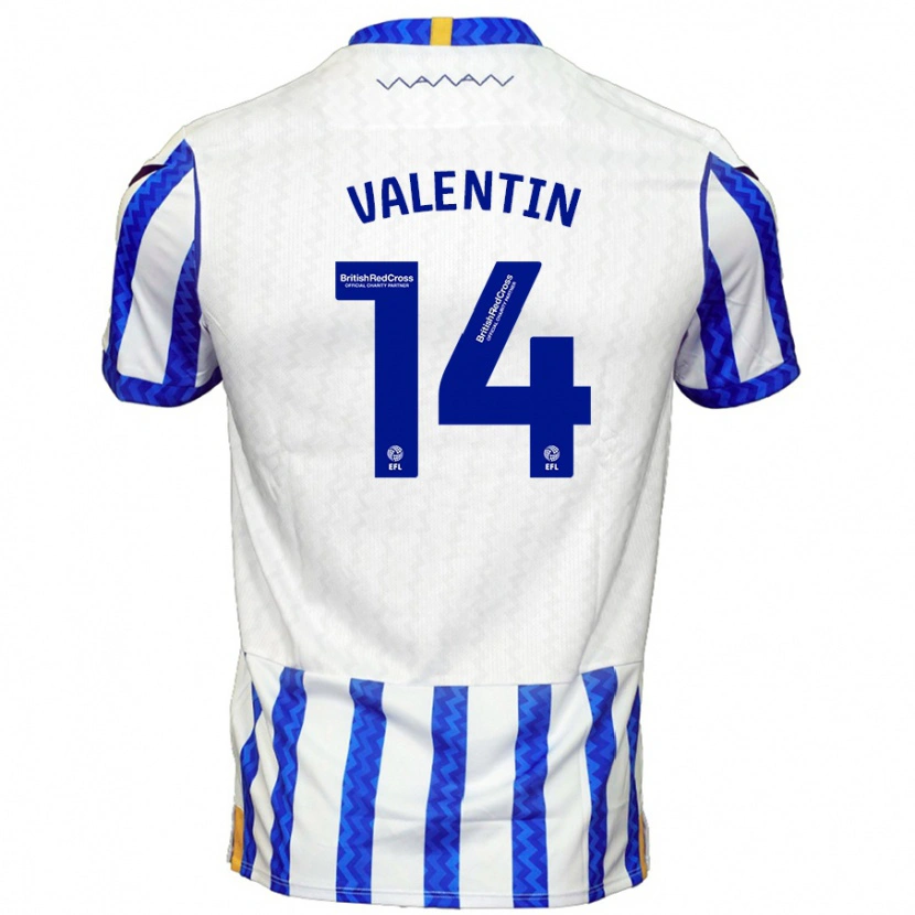 Danxen Homme Maillot Pol Valentín #14 Bleu Blanc Tenues Domicile 2024/25 T-Shirt