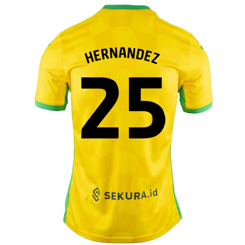 Danxen Enfant Maillot Onel Hernández #25 Jaune Vert Tenues Domicile 2024/25 T-Shirt
