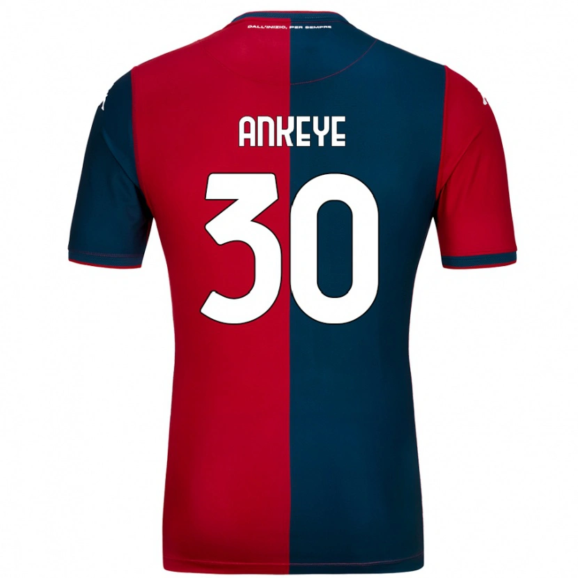 Danxen Enfant Maillot David Ankeye #30 Rouge Bleu Foncé Tenues Domicile 2024/25 T-Shirt